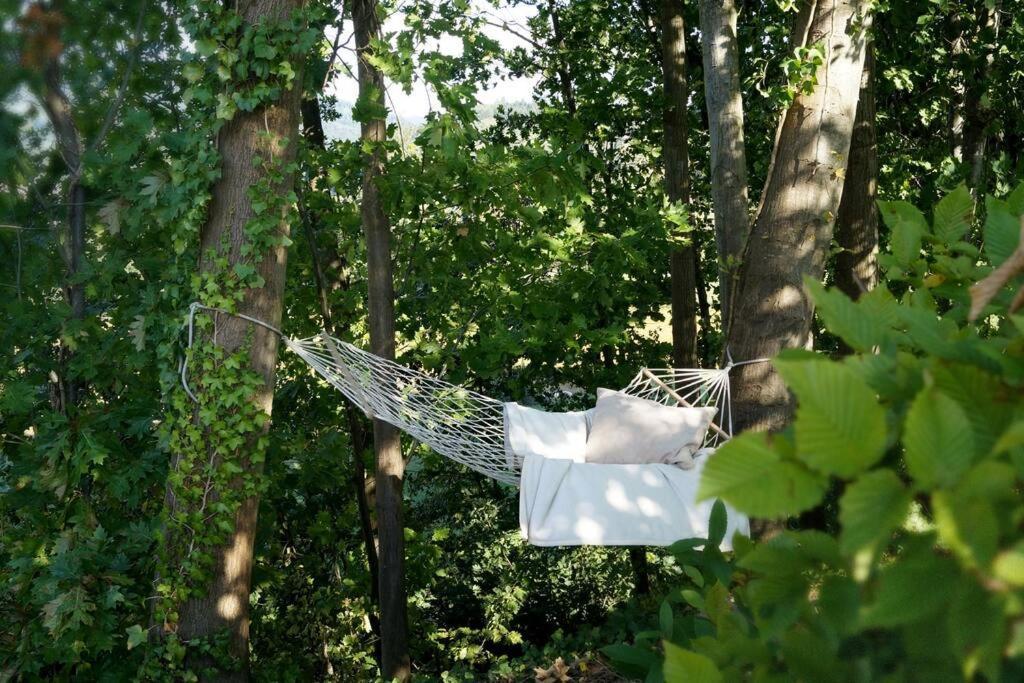 Wohnung Am Fusse Des Schwarzwalds Oberkirch  Εξωτερικό φωτογραφία