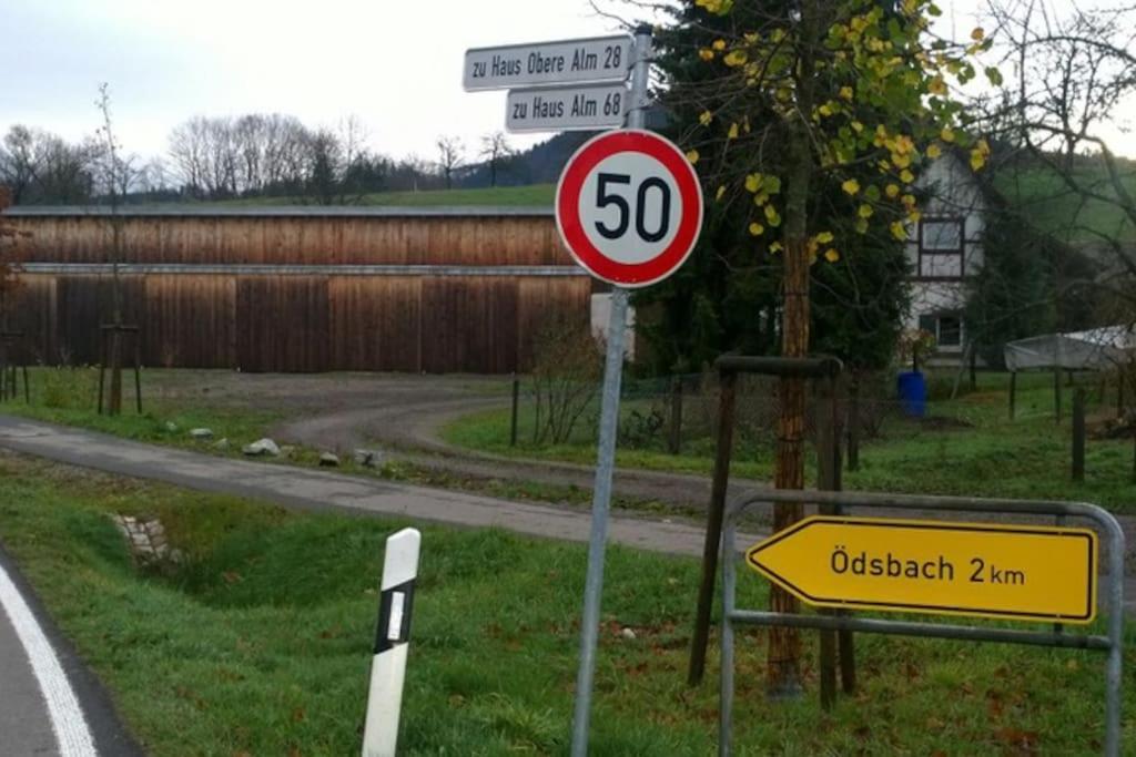 Wohnung Am Fusse Des Schwarzwalds Oberkirch  Εξωτερικό φωτογραφία