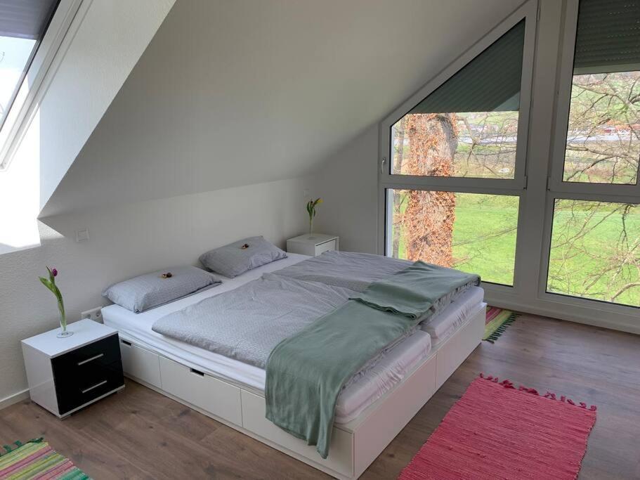 Wohnung Am Fusse Des Schwarzwalds Oberkirch  Εξωτερικό φωτογραφία