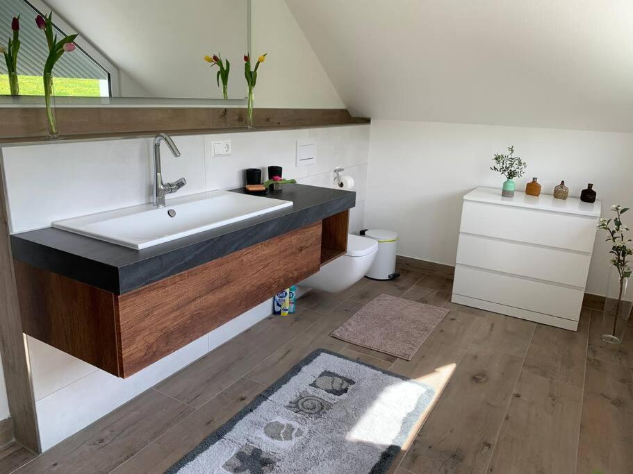 Wohnung Am Fusse Des Schwarzwalds Oberkirch  Εξωτερικό φωτογραφία