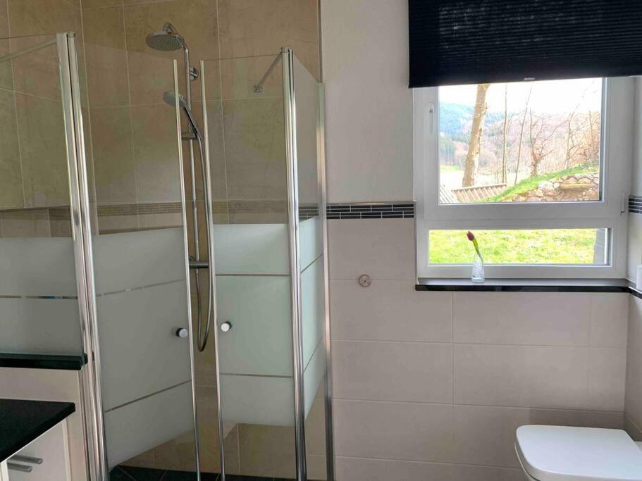 Wohnung Am Fusse Des Schwarzwalds Oberkirch  Εξωτερικό φωτογραφία