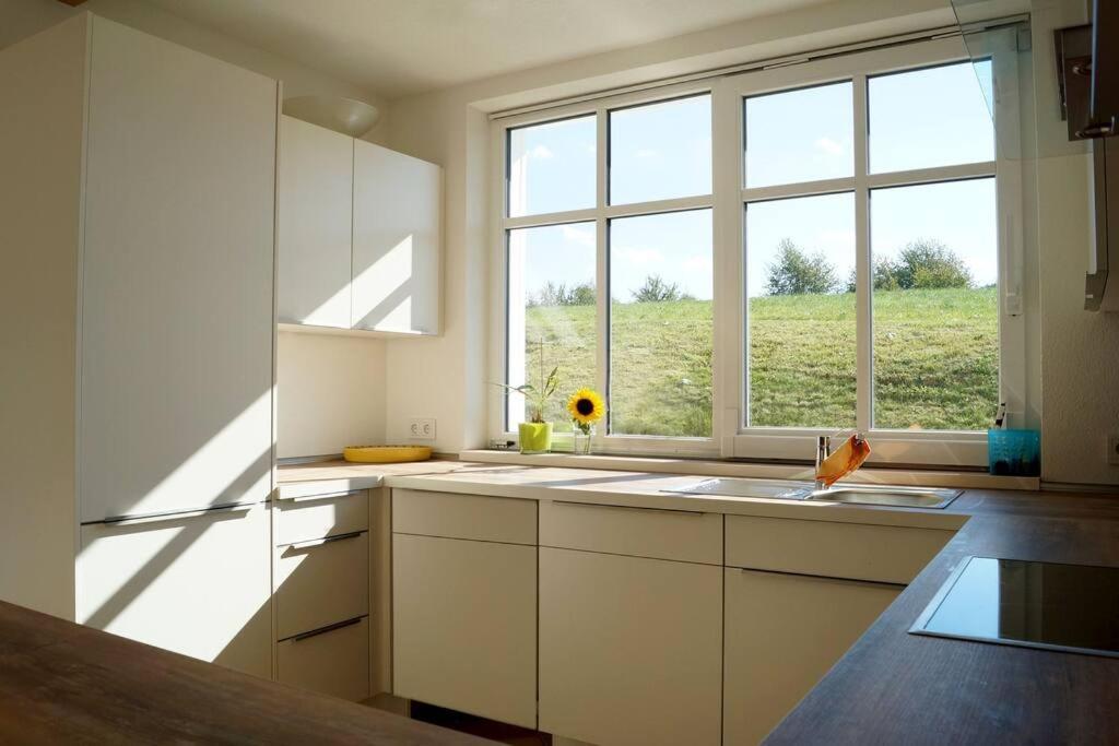 Wohnung Am Fusse Des Schwarzwalds Oberkirch  Εξωτερικό φωτογραφία