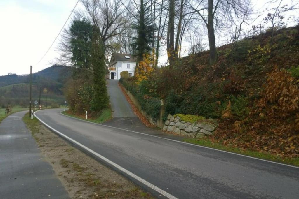 Wohnung Am Fusse Des Schwarzwalds Oberkirch  Εξωτερικό φωτογραφία