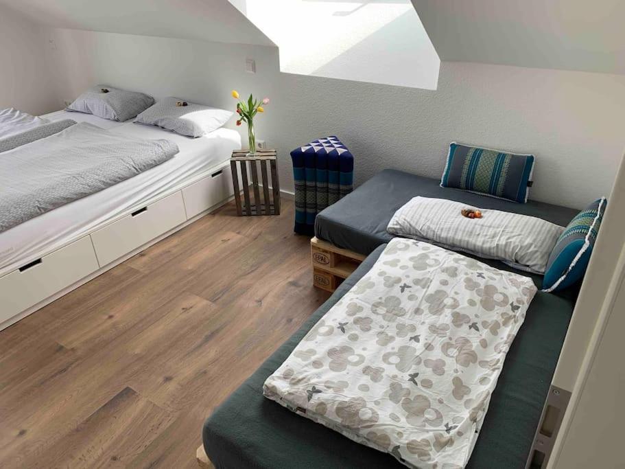 Wohnung Am Fusse Des Schwarzwalds Oberkirch  Εξωτερικό φωτογραφία